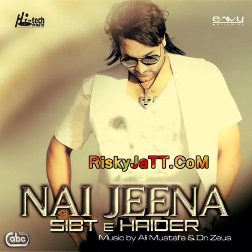 Jaan E Mann Sibt E Haider Mp3 Song Download