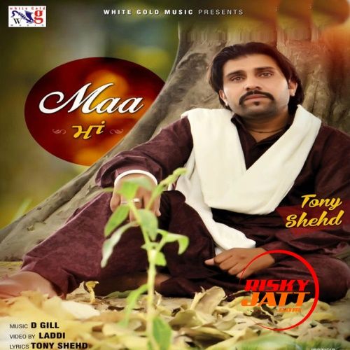 Maa Tony Shehd Mp3 Song Download