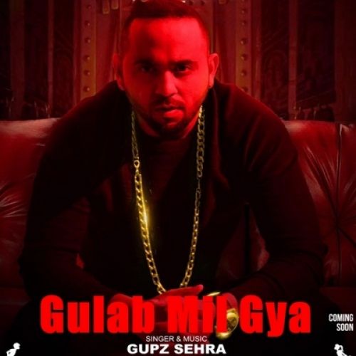 Gulab Mil Gya Gupz Sehra Mp3 Song Download