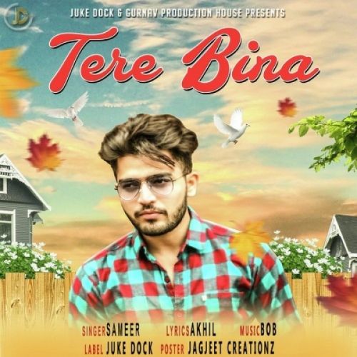 Tere Bina Sameer Mp3 Song Download