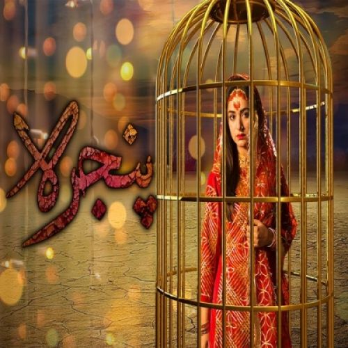 Pinjra Rahat Fateh Ali Khan, Noraan Laal Mp3 Song Download