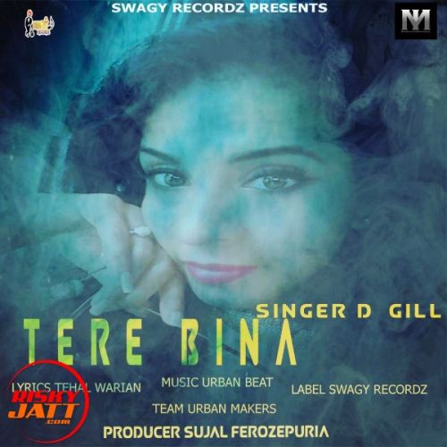 Tere bina D Gill Mp3 Song Download