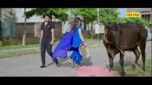 Kit Ka Lagya Pani Jaji King, Sonal Khatri Mp3 Song Download