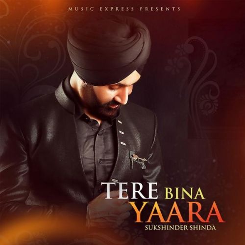 Tere Bina Yaara Sukshinder Shinda, Neetu Bhalla Mp3 Song Download