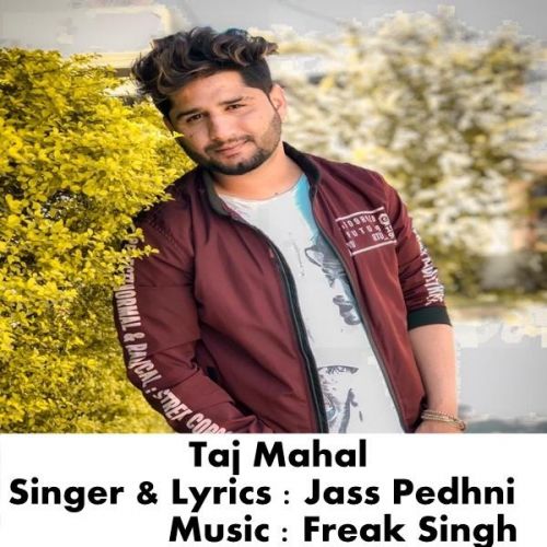 Taj Mahal Jass Pedhni Mp3 Song Download