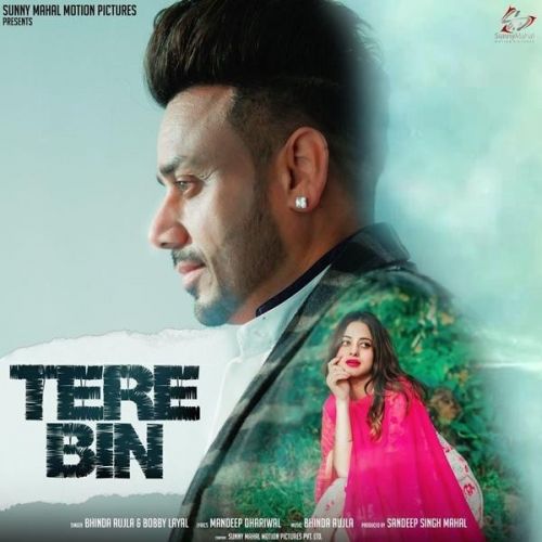 Tere Bin Bhinda Aujla Mp3 Song Download