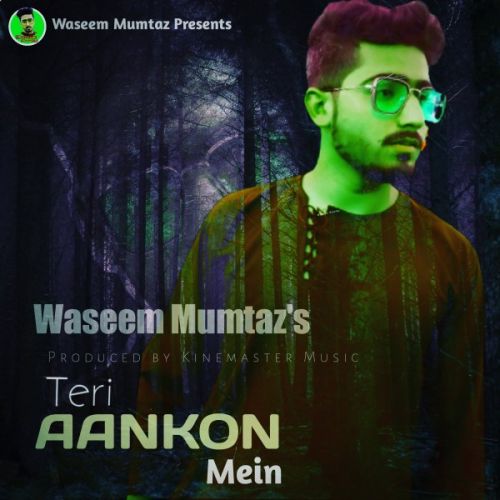 Teri Aankhon Mein Waseem Mumtaz Mp3 Song Download