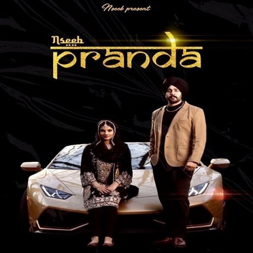 Paranda Nseeb Mp3 Song Download