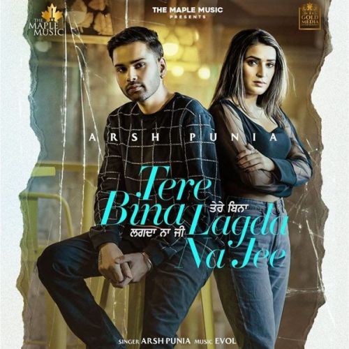 Tere Bina Lagda Na Jee Arsh Punia Mp3 Song Download