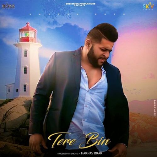 Tere Bin Harnav Brar Mp3 Song Download