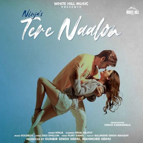 Tere Naalon Ninja Mp3 Song Download