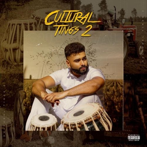 Cultural Tings 2 By AK, Labh Janjua and others... full album mp3 songs