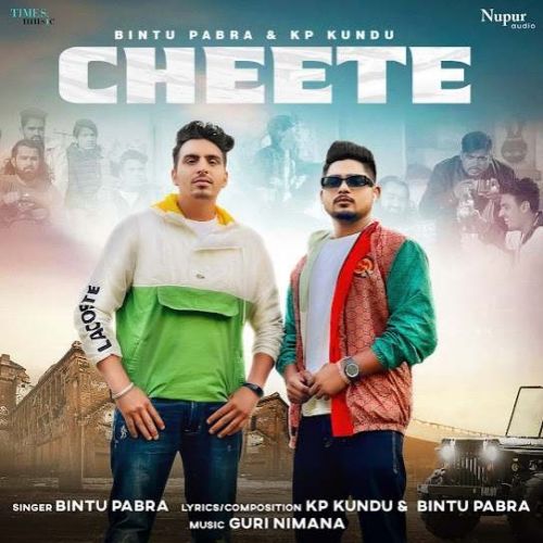 Cheete Bintu Pabra Mp3 Song Download