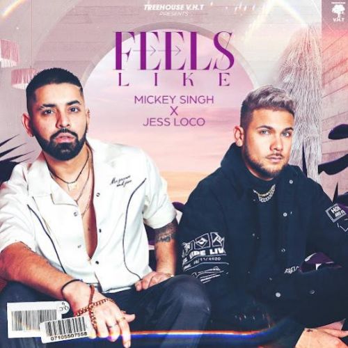 Feels Like Mickey Singh Mp3 Song Download