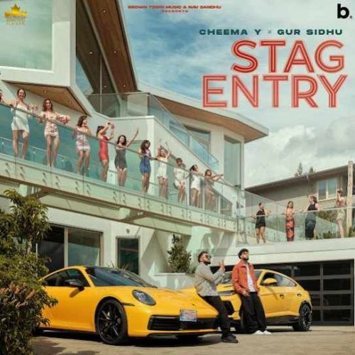 Stag Entry Cheema Y Mp3 Song Download