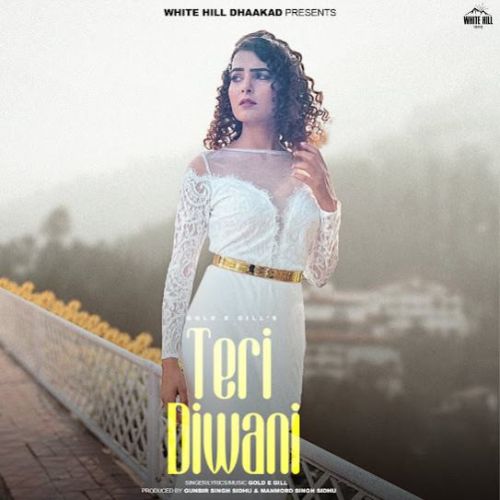 Teri Diwani Gold E Gill Mp3 Song Download