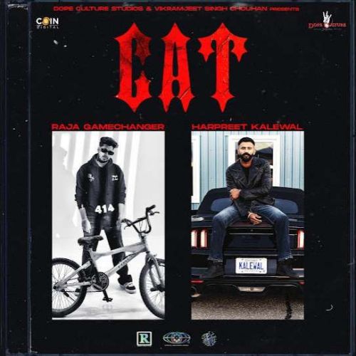 CAT Raja Gamechangerz Mp3 Song Download