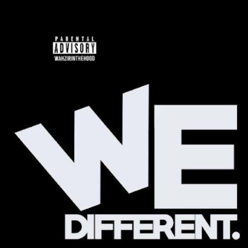 We Different Wazir Patar Mp3 Song Download