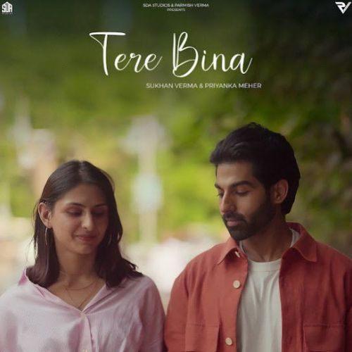 Tere Bina Sukhan Verma Mp3 Song Download