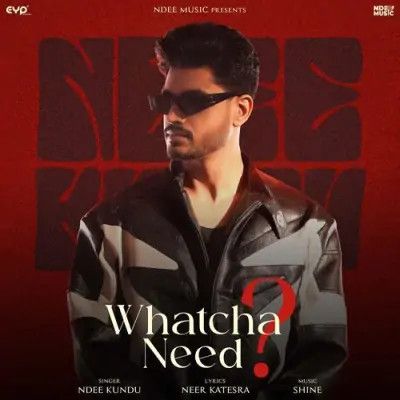 Whatcha Need Ndee Kundu Mp3 Song Download