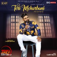Teri Meharbani Sunny Urdhan Mp3 Song Download