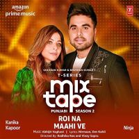 Roi Na-Maahi Ve (T-Series Mixtape Punjabi Season 2) Kanika Kapoor, Ninja Mp3 Song Download