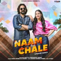 Naam Chale Ashu Twinkle Mp3 Song Download