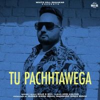 Tu Pachhtawega Gold E Gill Mp3 Song Download