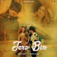 Tere Bin Sucha Yaar Mp3 Song Download