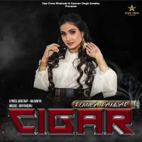Cigar Renuka Panwar Mp3 Song Download