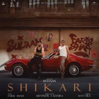 Shikari Sultaan Mp3 Song Download