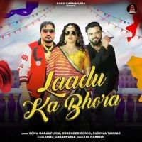 Laadu Ka Bhora Surender Romio, Sushila Takhar Mp3 Song Download