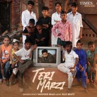Teri Marzi Varinder Brar Mp3 Song Download