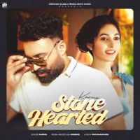 Stone Hearted Karma Mp3 Song Download
