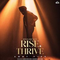 Mithe Laare Ammy Virk Mp3 Song Download