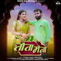 Tota Maina Pawan Pilaniya and Nonu Rana mp3 song