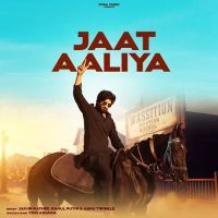 Jaat Aaliya Jaivir Rathee, Rahul Puthi, Ashu Twinkle and others... mp3 song